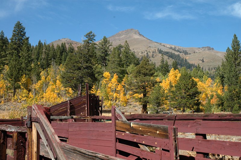 Hope Valley California Comes Alive with Fall Color • Lake Tahoe Guide