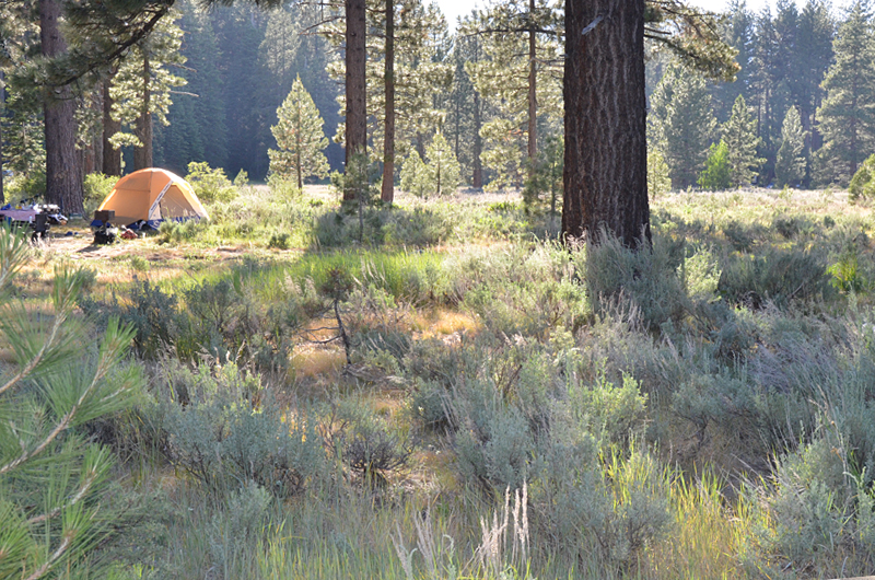Fallen Leaf Campground Lake Tahoe Map Best Tourist Places in the World