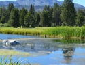 Lake Tahoe Golf Course