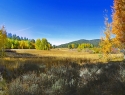 Fall colors at a Lake Tahoe meadow