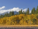 Fall colors and Mt Tallac in the background