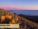 Lake Tahoe Photo near Incline Village