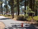 Nevada Beach and Campground