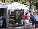 Pacific Fine Arts Festival - Lake Tahoe