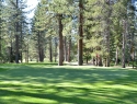 Tahoe Paradise Golf Course