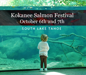 Kokanee Salmon Festival Lake Tahoe