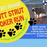 Lake Tahoe Mutt Strut Poker Run