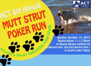 Lake Tahoe Mutt Strut Poker Run